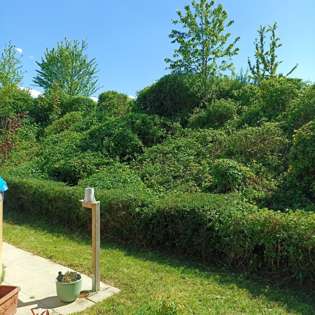 Garten am Hang. Der Garten ist schön geschnitten